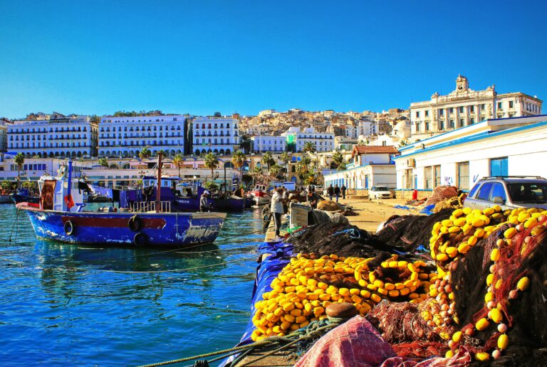 Port of Algiers, Algeria with fishing boats and traditional architecture in the background.