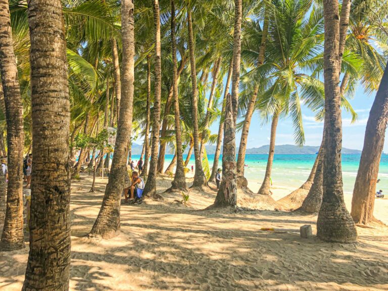 Tropical beach with palm trees in Boracay, Philippines.