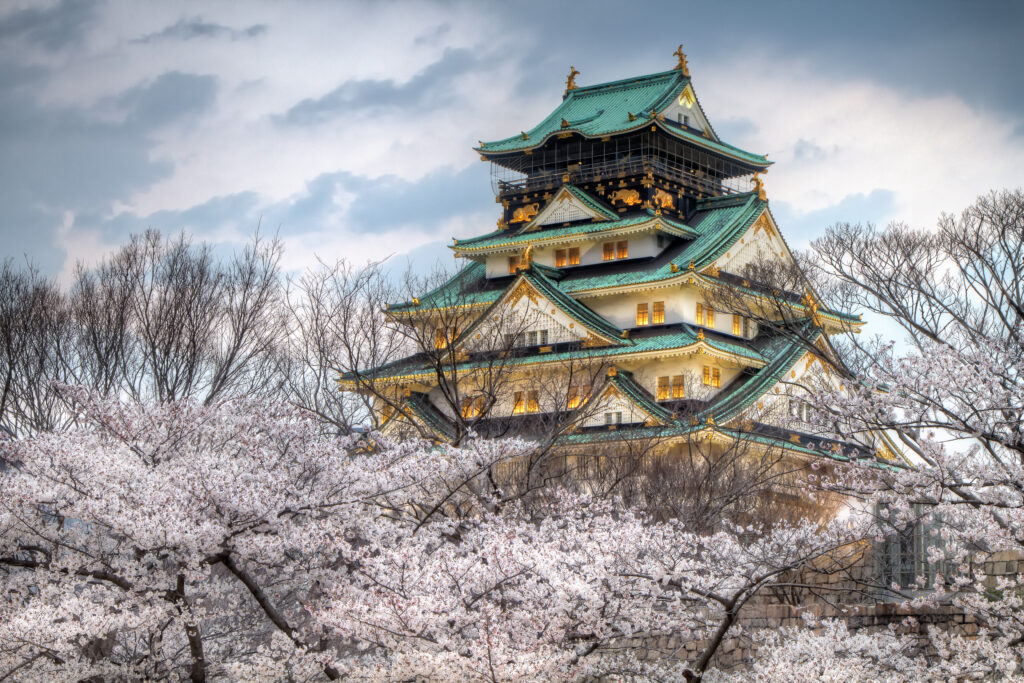 Castelul Osaka înconjurat de flori de cireș, o priveliște încântătoare în sezonul primăverii.