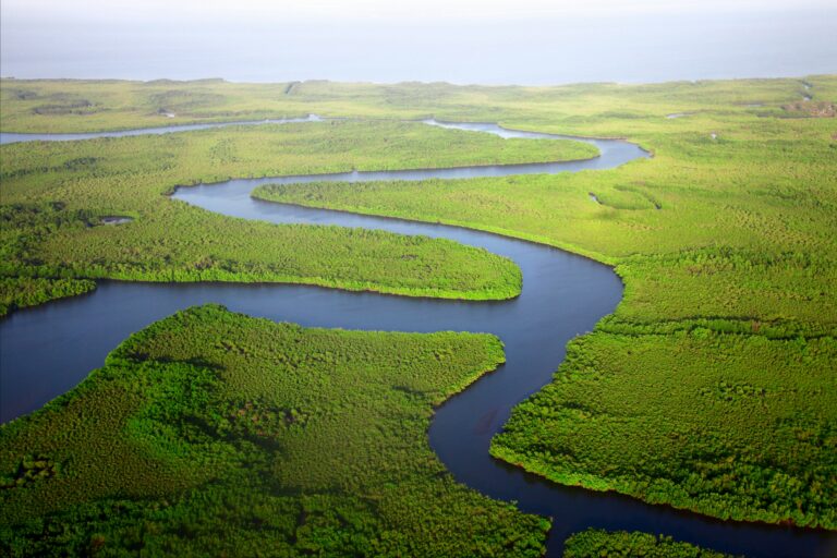 Râul Gambia șerpuind printre pădurile tropicale dense
