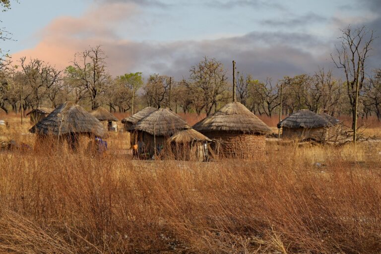 Colibe de lut tradiționale într-un sat rural din Ghana