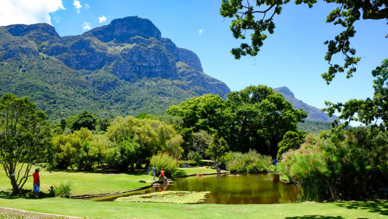 Peisaj al Grădinilor Botanice Kirstenbosch cu munți și vegetație luxuriantă în Cape Town.