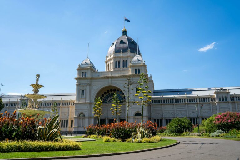 Floare de lotus roz pe un fundal de frunze verzi la Grădinile Botanice Regale din Melbourne.