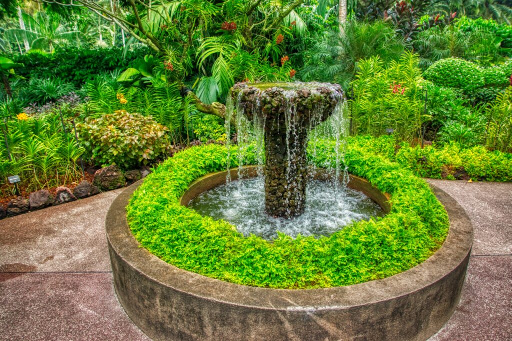 Fântână într-un cadru natural plin de plante verzi din Grădinile Botanice din Singapore.