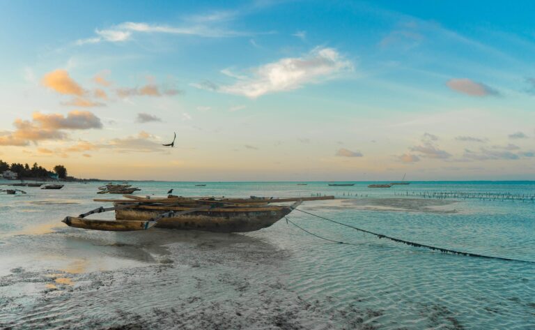 View of a coastline on Pemba Island, Tanzania, featuring traditional African boats and clear waters at sunset.