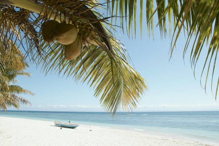Plajă tropicală în Madagascar