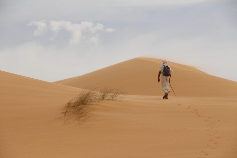 Drumeț purtând ghiozdan pe o dună de nisip din Mauritania.