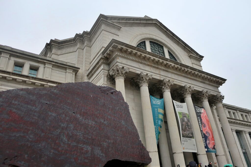 Fațada Muzeului Național de Istorie Naturală Smithsonian din Washington D.C., cu bannere și o rocă expusă în prim-plan.