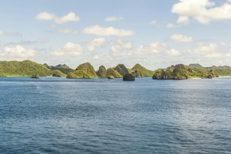 Peisaj tropical în Insulele Palau