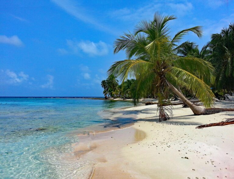 Plajă tropicală cu nisip alb și palmieri în arhipelagul San Blas