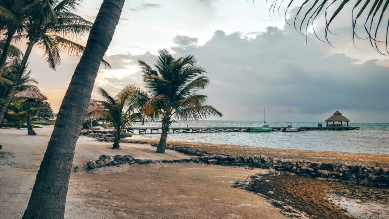 Beach with palm trees, white sand, and a pier at sunset in San Pedro Town, Belize.