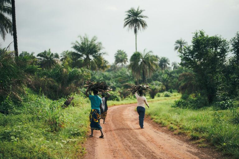 Femei africane transportând lemne de foc pe un drum de pământ