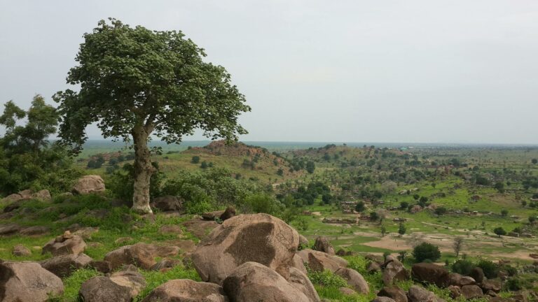 Peisaj rural cu dealuri și copaci în Sudanul de Sud.