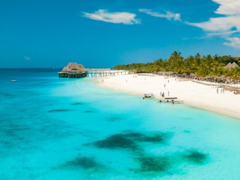 Plajă tropicală superbă în Zanzibar