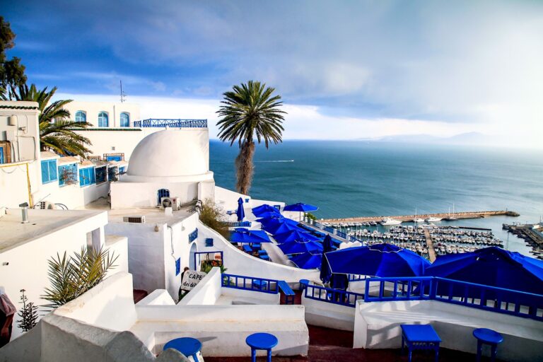 Vedere panoramică la Sidi Bou Said cu case albe și port mediteranean în fundal.