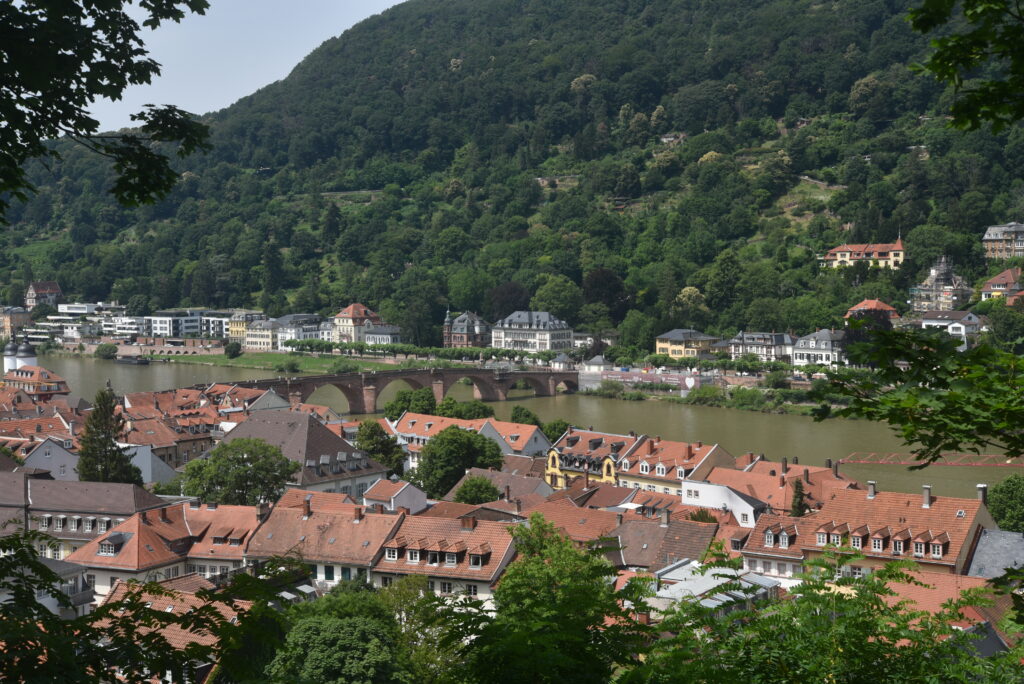 Vista panoramica di Philosophenweg a Heidelberg sopra il fiume Neckar con paesaggio collinare verde.