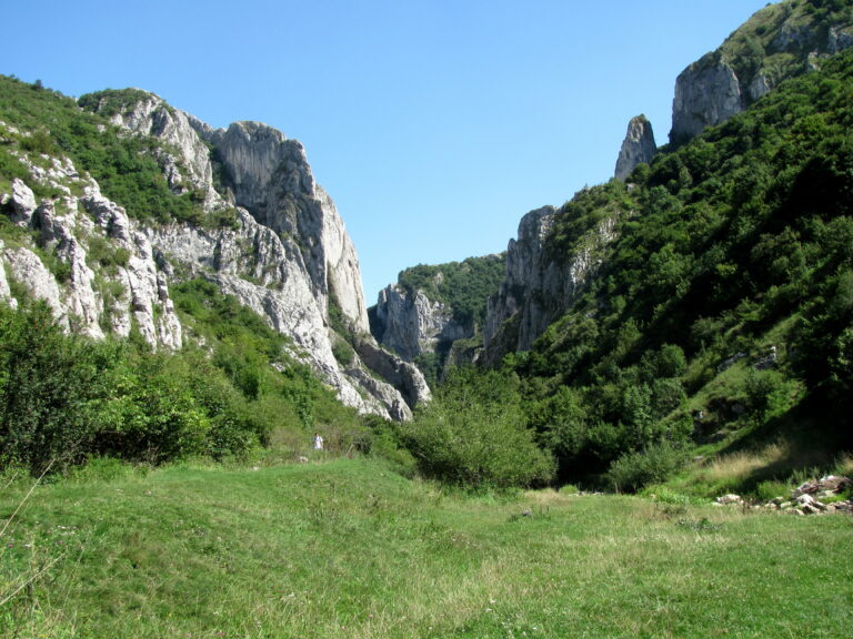 Gola di Turda con formazioni rocciose impressionanti e vegetazione rigogliosa, una popolare destinazione naturale in Romania.