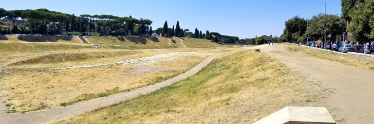 Panorama Circo Massimo în Roma, Italia, cu spațiu deschis și pini mediteraneeni.