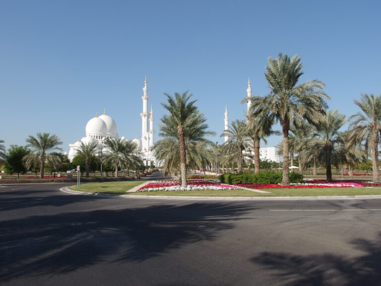Vista panoramica della Moschea Sheikh Zayed Grand ad Abu Dhabi circondata da palme e fiori colorati.